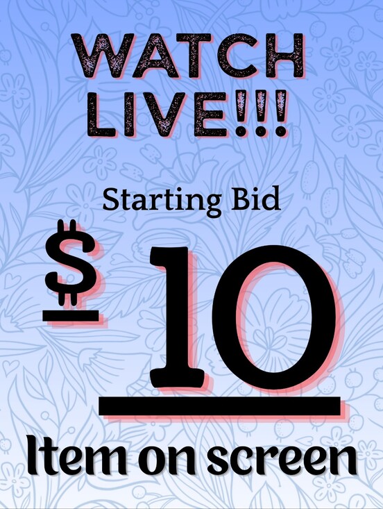 Other - UNLISTED $10 start- random item on screen